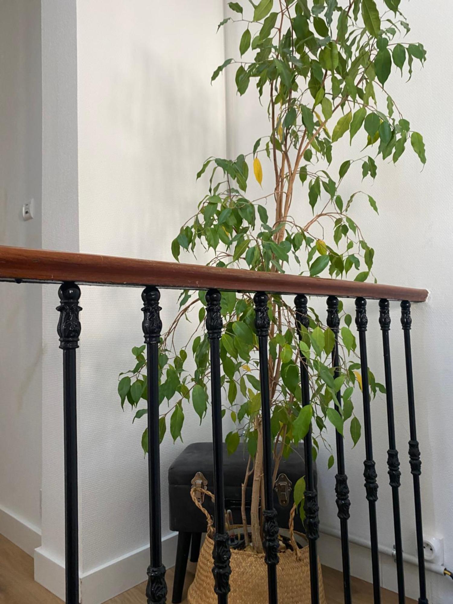 Maison De Charme Neuf Hyper Centre בורדו מראה חיצוני תמונה